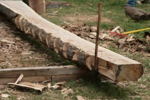 équarrissage de grume